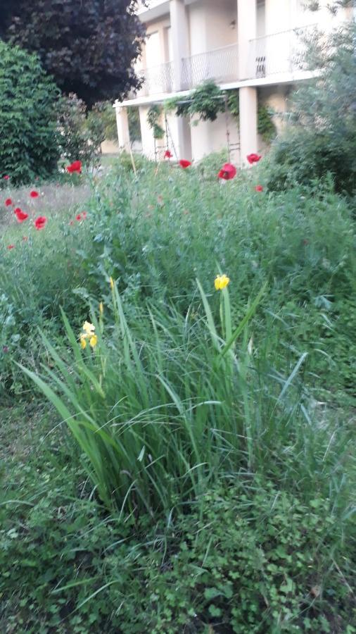 1er étage Climatisé Entier 90m2 Appartamento *