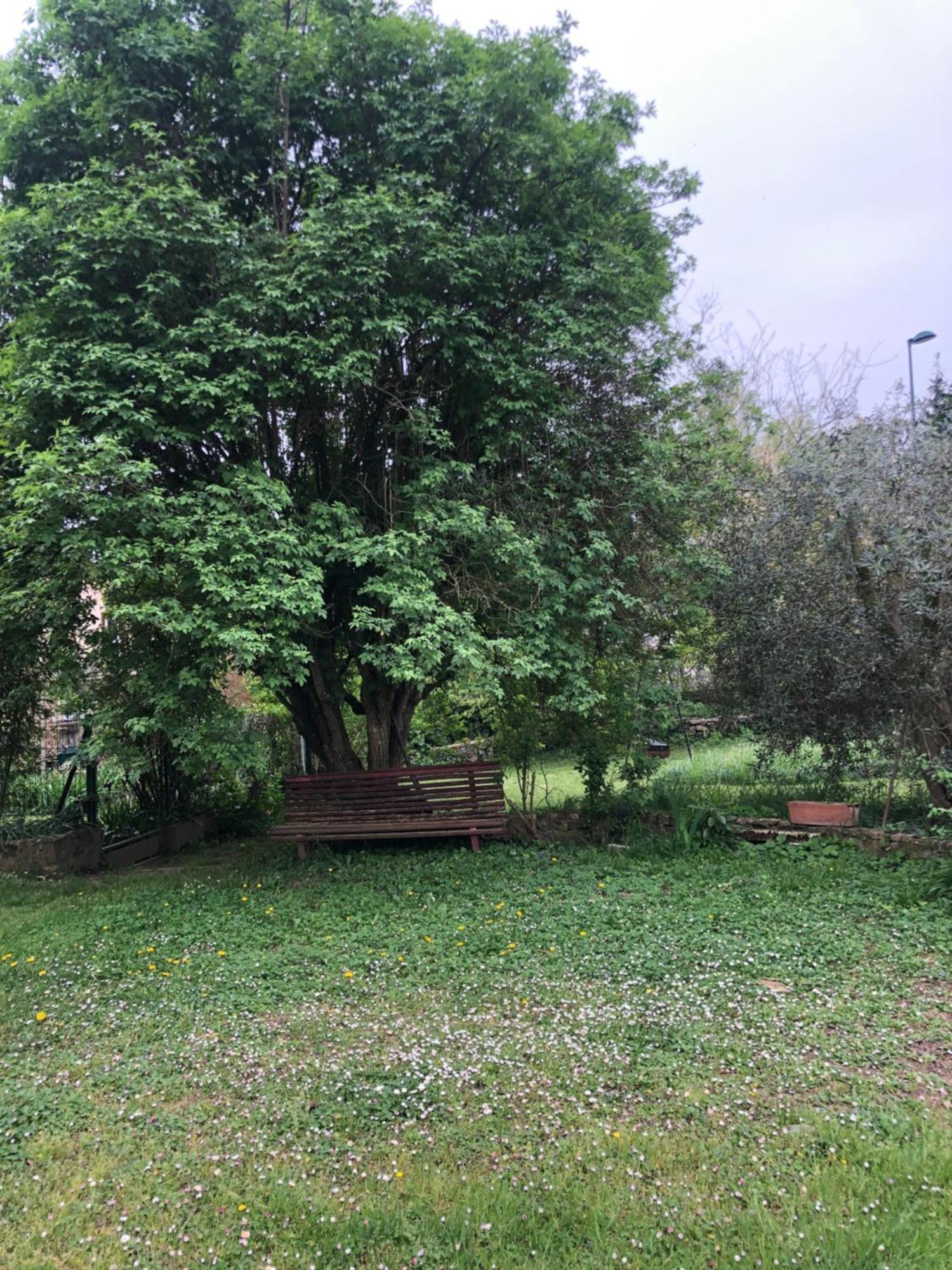 1er étage Climatisé Entier 90m2 * Condrieu