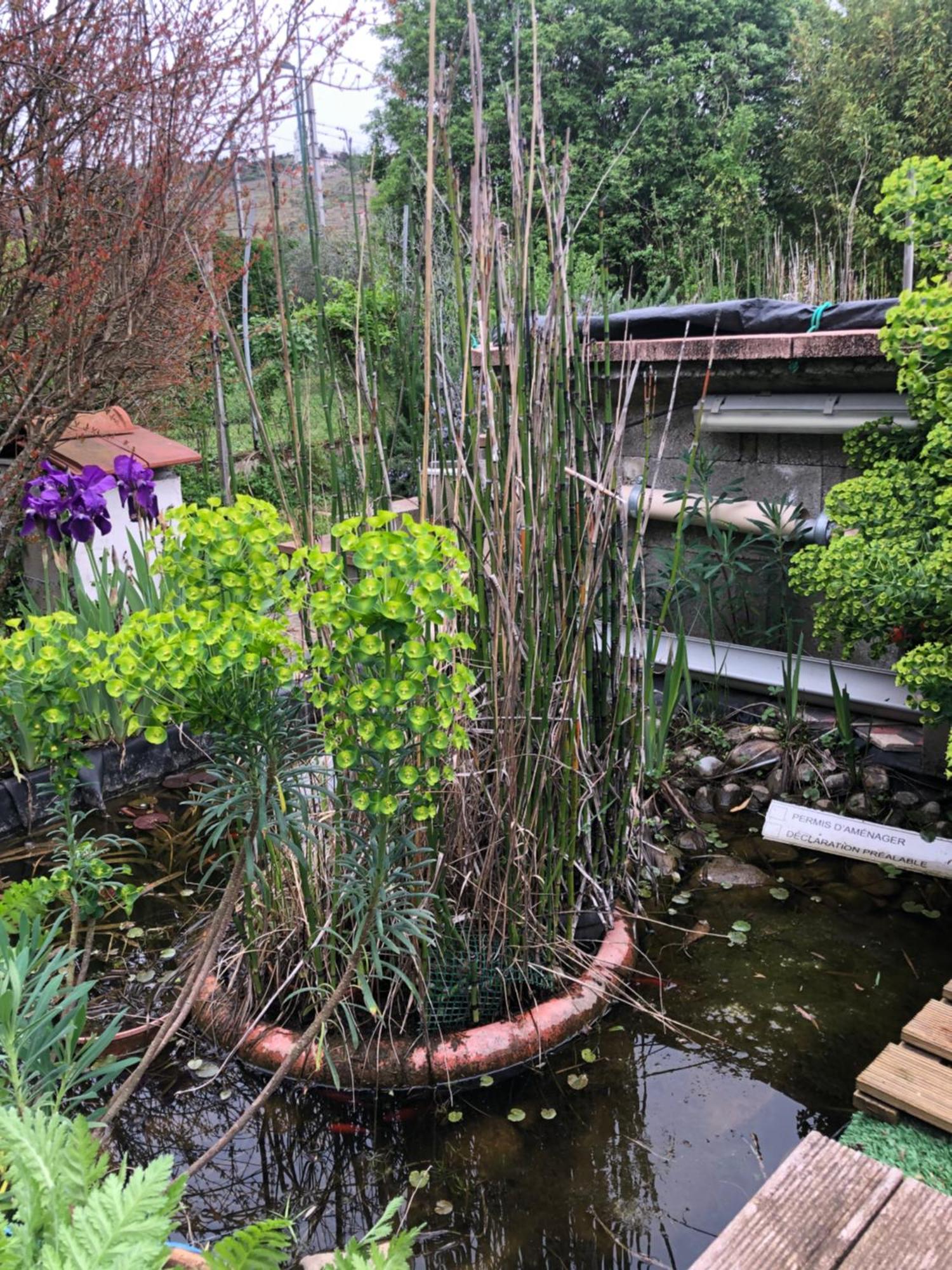 Appartamento 1er étage Climatisé Entier 90m2 *