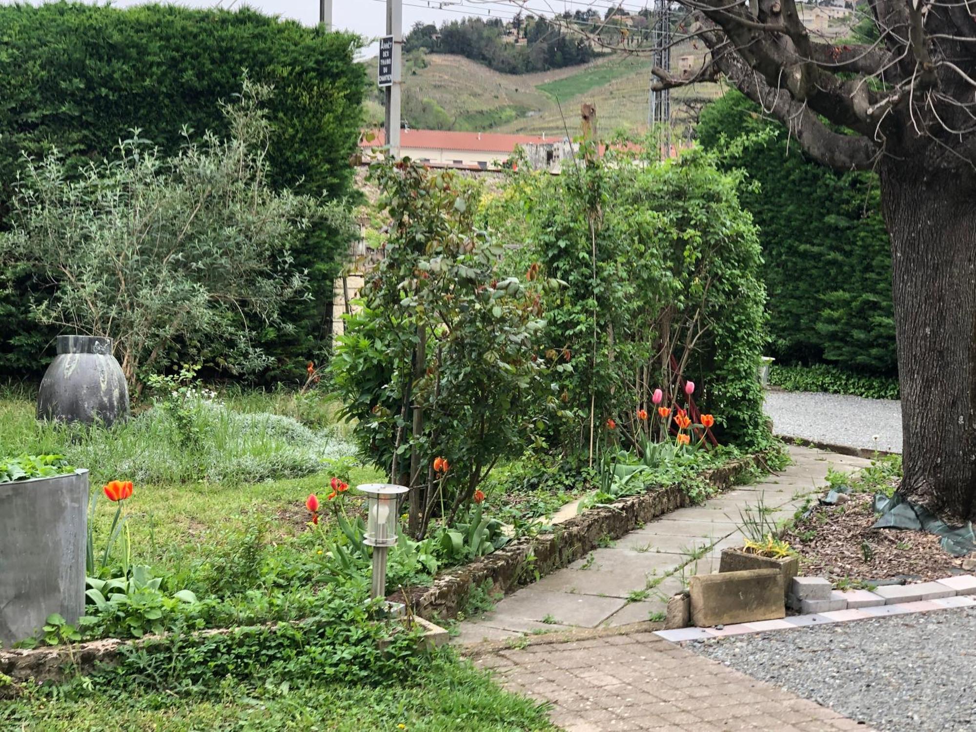 1er étage Climatisé Entier 90m2 * Condrieu