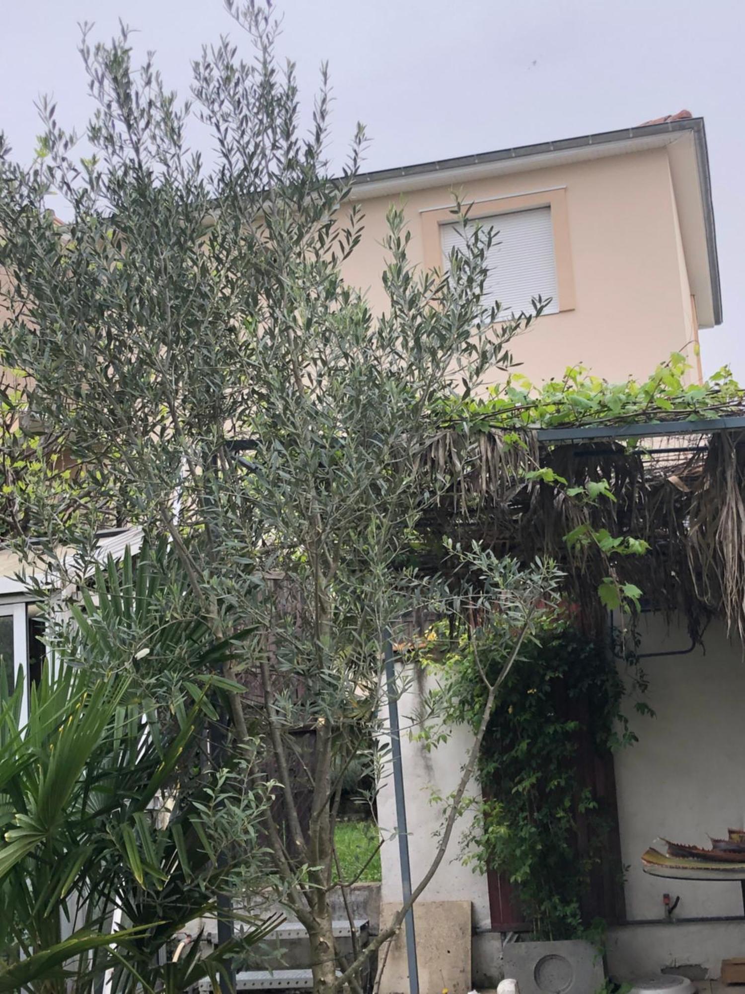 1er étage Climatisé Entier 90m2 Appartement Condrieu