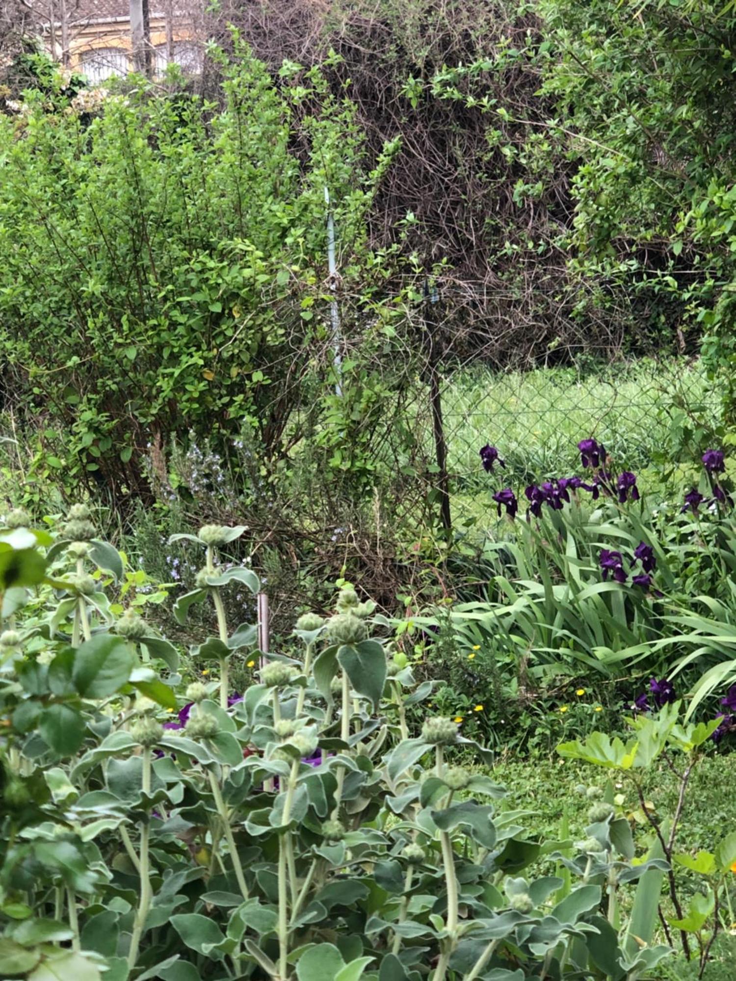 Appartamento 1er étage Climatisé Entier 90m2 *